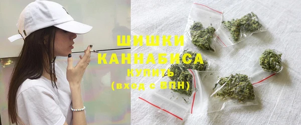ГАЛЛЮЦИНОГЕННЫЕ ГРИБЫ Гусь-Хрустальный
