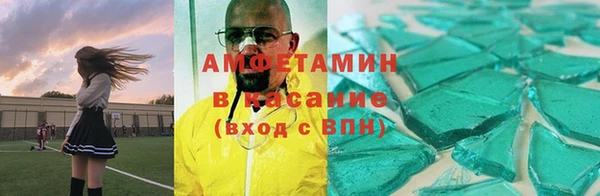 гидропоника Гусиноозёрск