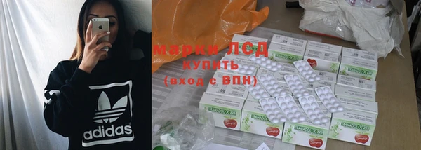 гидропоника Гусиноозёрск