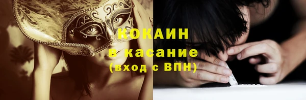 гидропоника Гусиноозёрск
