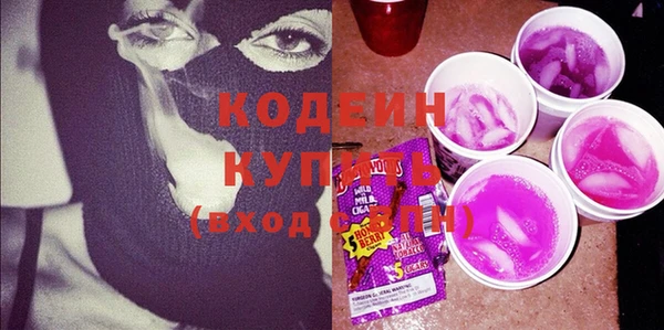 ГАЛЛЮЦИНОГЕННЫЕ ГРИБЫ Гусь-Хрустальный