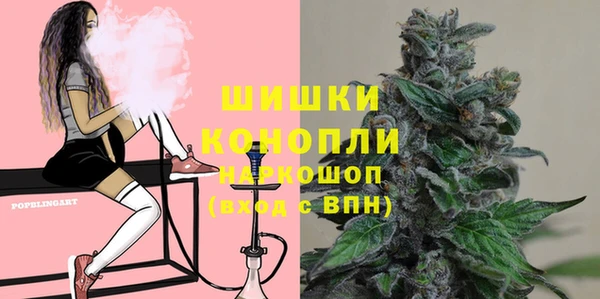 гидропоника Гусиноозёрск