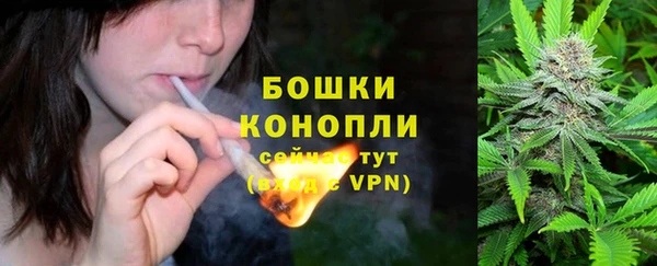 гидропоника Гусиноозёрск