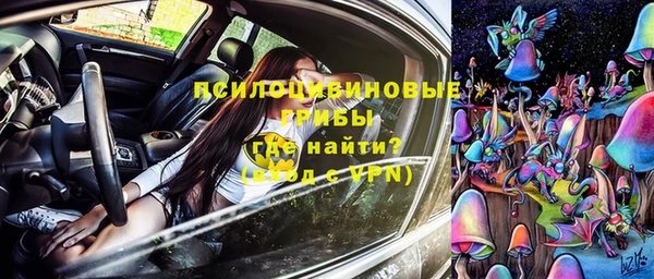 ALPHA PVP Горнозаводск